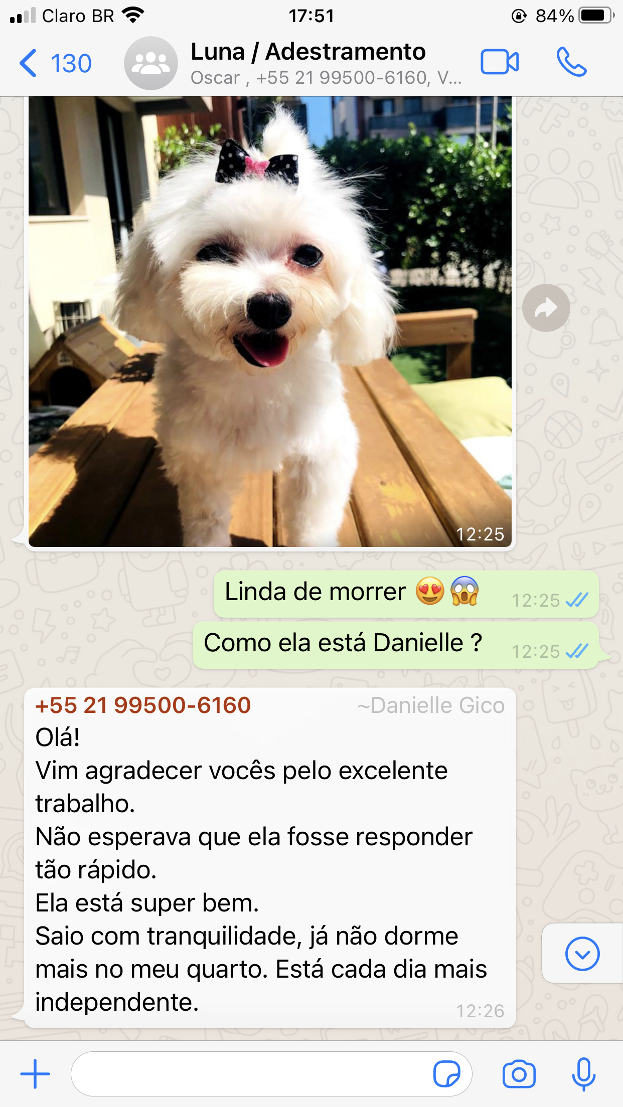 Curso Cão Bem Resolvido depoimento e resultados prints de alunos