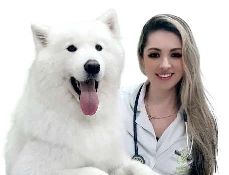 ClickVET - Curso de Auxiliar Veterinária é Bom