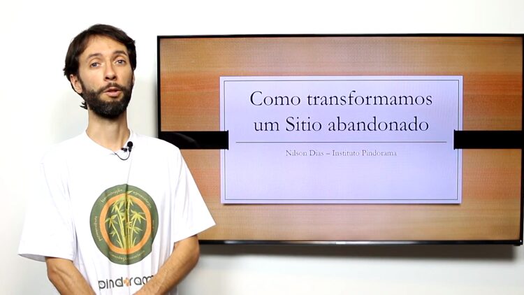 Curso Online de Permacultura do Instituto Pindorama funciona mesmo