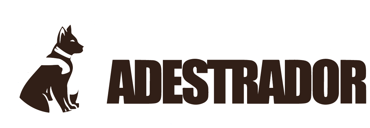 Profissão Adestrador Formação Perdigavet é Bom