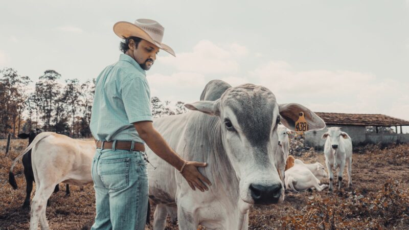 Curso Pecuária Lucrativa reclame aqui é confiável