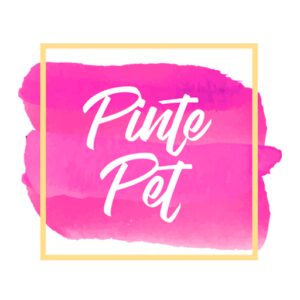 Curso Pinte Pet é Bom