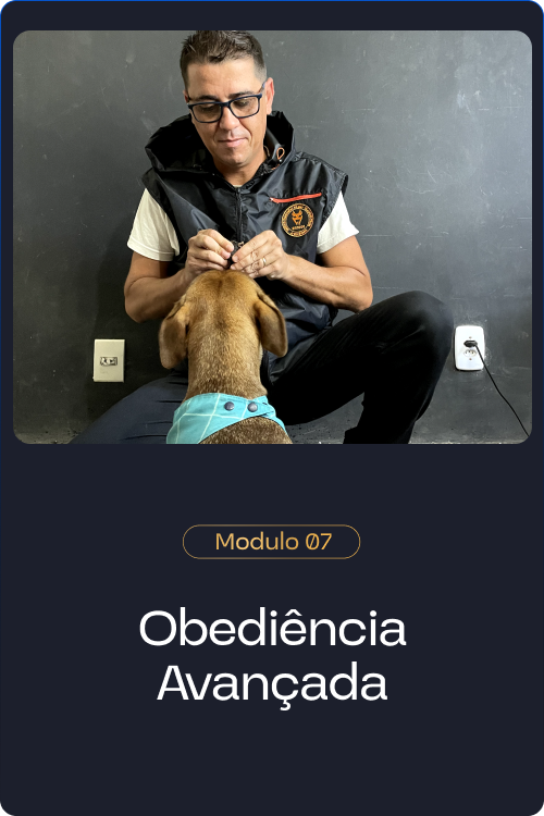 Método Cão Adestrado é Bom